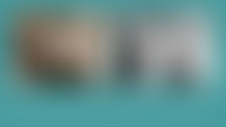 Monochrome | What it is and how to apply it to your art