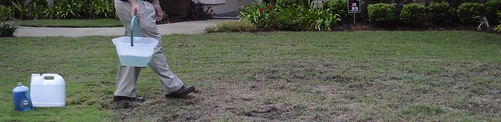 How to Kill Mole Crickets