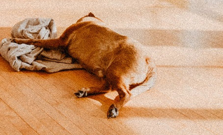 5 Mistakes That Are Ruining Your Hardwood Floors