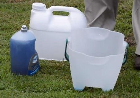 How to Get Rid of Mole Crickets?