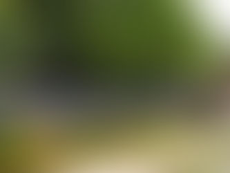 University of Hyderabad adopts CUET score for admissions to integrated, PG programmes