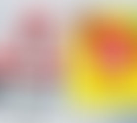 Food Chain Franchising In India: The Kewal Ahuja SGF Fraud; Truth Reveals