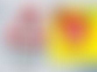 Food Chain Franchising In India: The Kewal Ahuja SGF Fraud; Truth Reveals