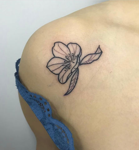 Neotrad cherry blossoms blackwork black and grey tattoo linework tattoo flower tattoo Mad Rabbit colour tattoo custom trad tattoo aftercare New Tribe Tattoo Heartless Ink Black Widow Tattoo MY Ink Tattoo Flame Wise Ink Chronic Ink Tattoo People Tattoo Junction Better Butter Care tattoo glide done by Alan Sparki at Lewis Family Tattoo Company Tattoo Goo Hustle Butter