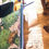 Thumbnail: Concert Arena Festival Cork Crossbody Phone Bag