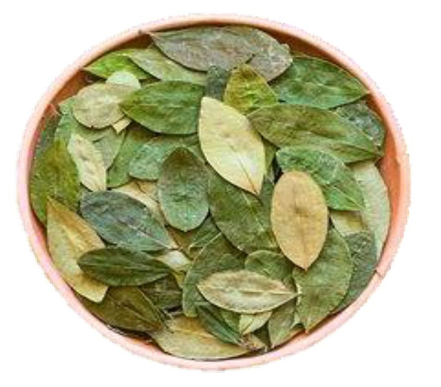 HOJAS DE COCA TOSTADITAS_50 gr