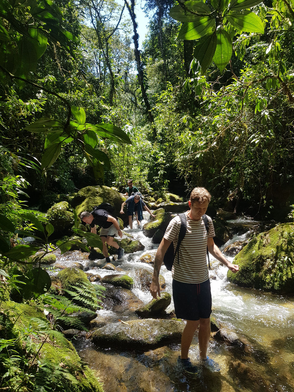 caminata ecológica en Medellín