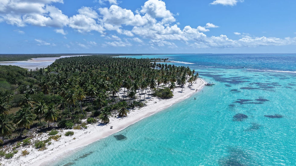 Saona from the sky