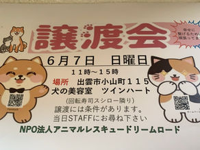 【譲渡会】