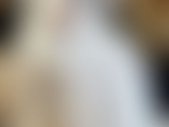 【譲渡対象】子猫