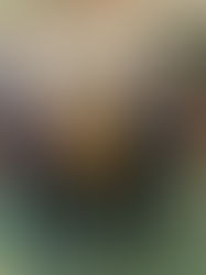 Building Bridges Over Borders 