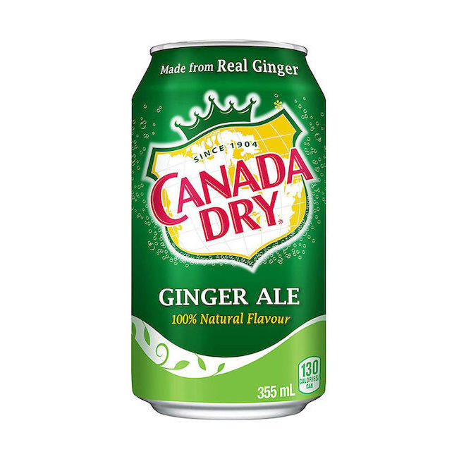 Soda Ginger Ale 12oz Can