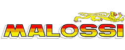 Malossi logo