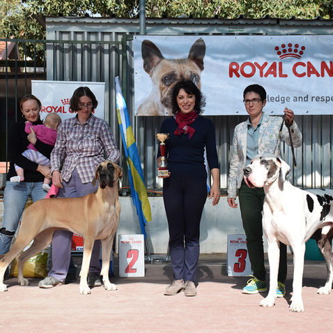 סיקור תערוכת החורף - סביון 2016 - שופטים בו ונטליה סקאלין, שבדיה
