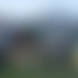 סיקור תערוכת האביב לזכר דני ויעל ברוס ז"ל (II) - כפר הס 2017 - שופט יוחאי ברק-ליפק , ישראל