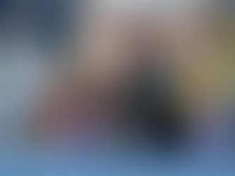 סיקור התערוכה הבינלאומית - סביון 2020 - שופט ארנה פוס, נורבגיה