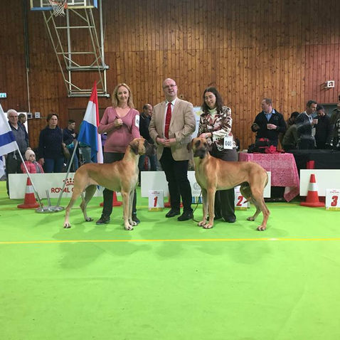 סיקור התערוכה הבינלאומית - סביון 2018 - שופט רוב דיומה, הולנד