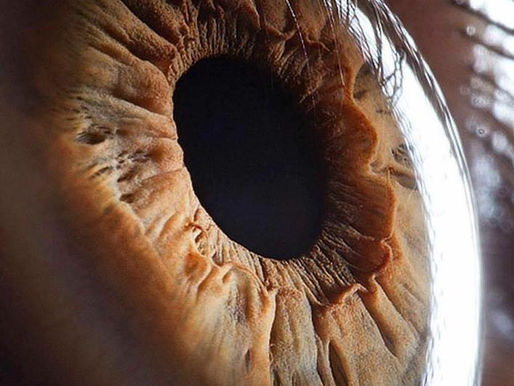 Prajna: 12 Universal Wrong Conceptions: 9. Conscience and Intelligence