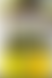 Back 2 Da Future News Feb 11th 2019