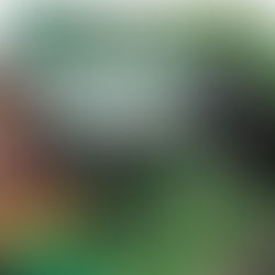 Back 2 Da Future News Jan 28th 2019