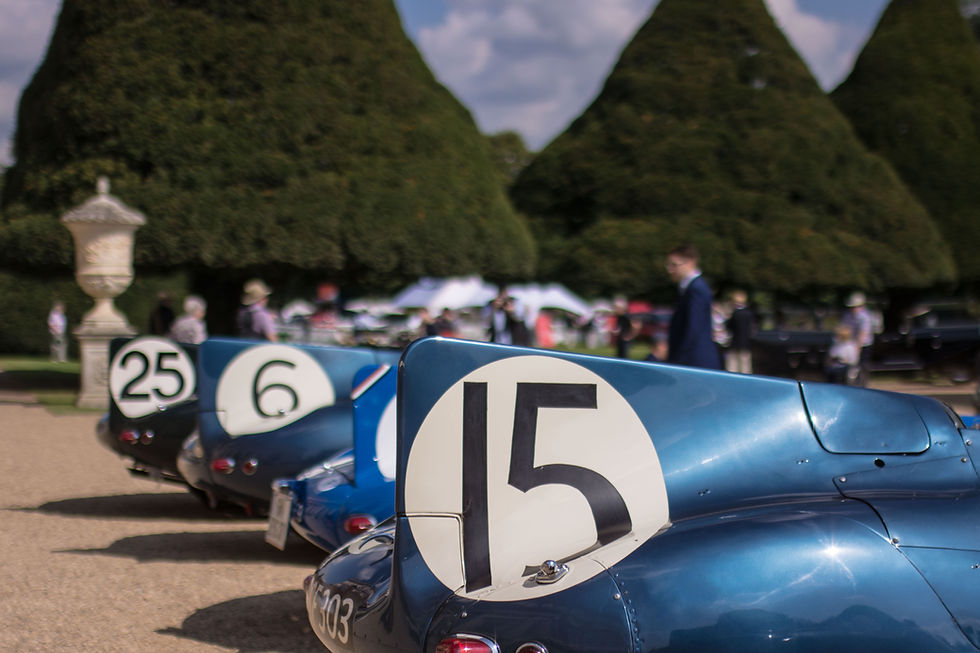 The 2017 Concours of Elegance