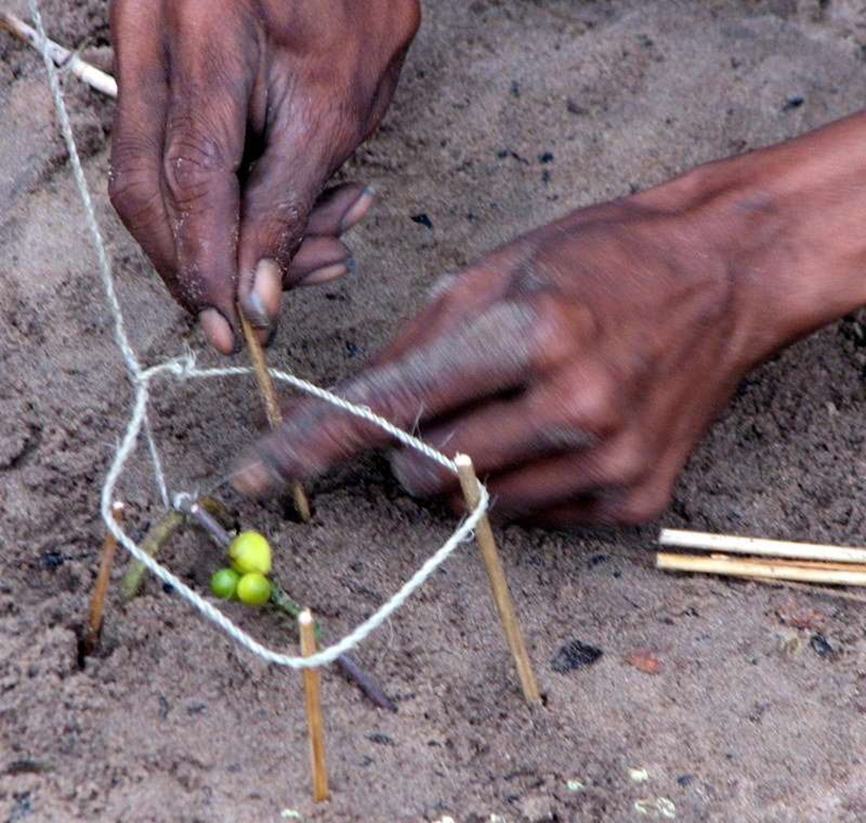 Using rope to make make a trap for small game