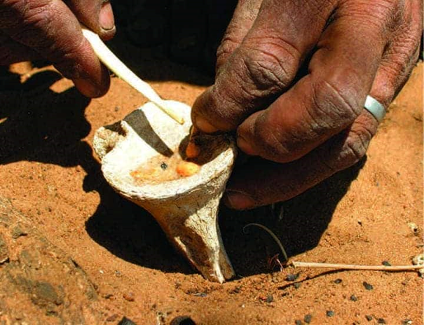 Mixing beetle poison inside of a knuckle bone of an antelope