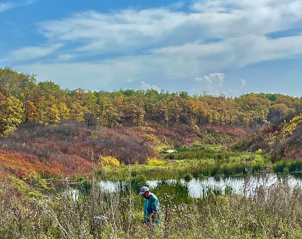 The nights cool, leaves turn color, plants begin their dormancy, and the fall rains soon begin.