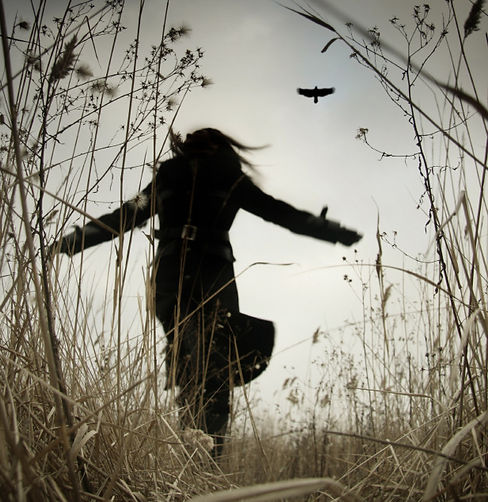 modified_chasing the raven_edited.jpg