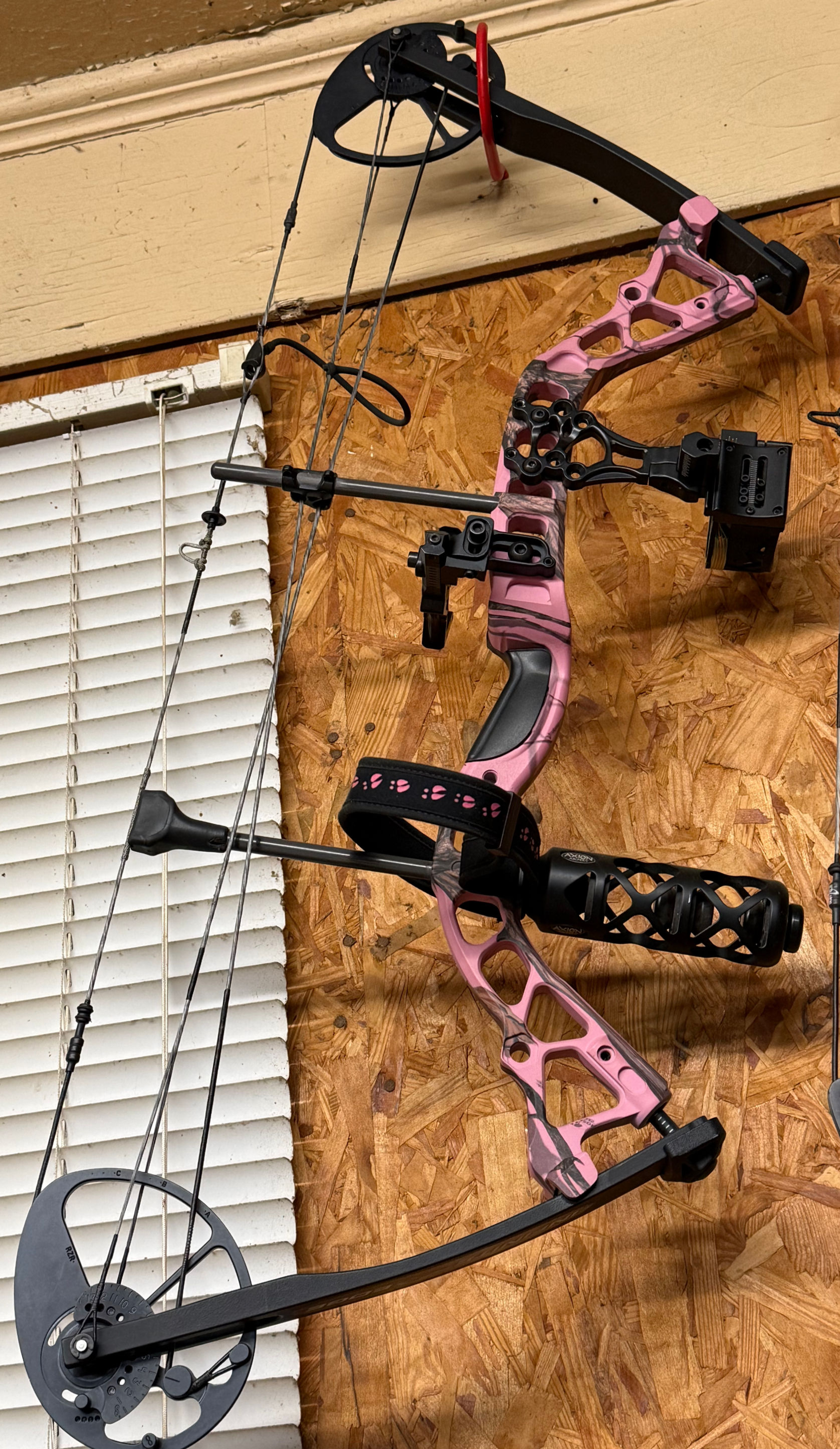 Pre-Owned: Bowtech Diamond Infinite Edge