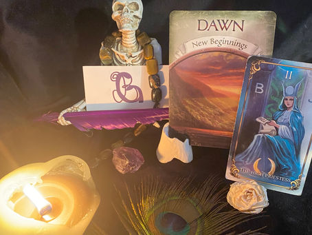 New Beginnings of Inner Wisdom 11/15/2023