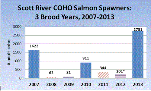 Scott River’s Coho Salmon Run over 2,700 Spawners