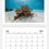Thumbnail: A4: 2026 "Underwater" Calendar