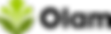 Olam_logo (1)-t.png