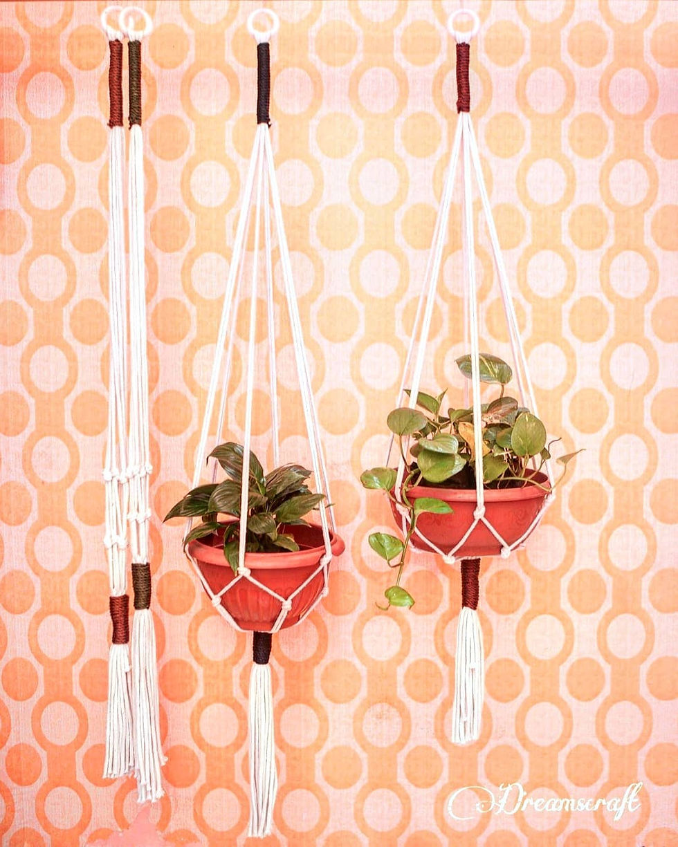 Plant Hangers (Set of 2)