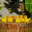 Thumbnail: 🐥Quacky Ducklings🐥