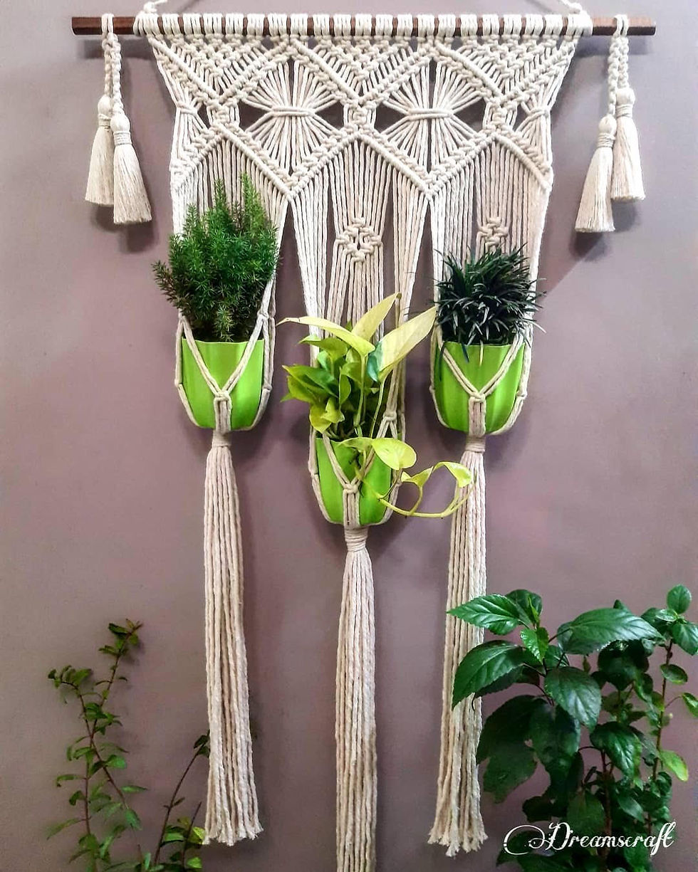 Macrame Plant Hanger