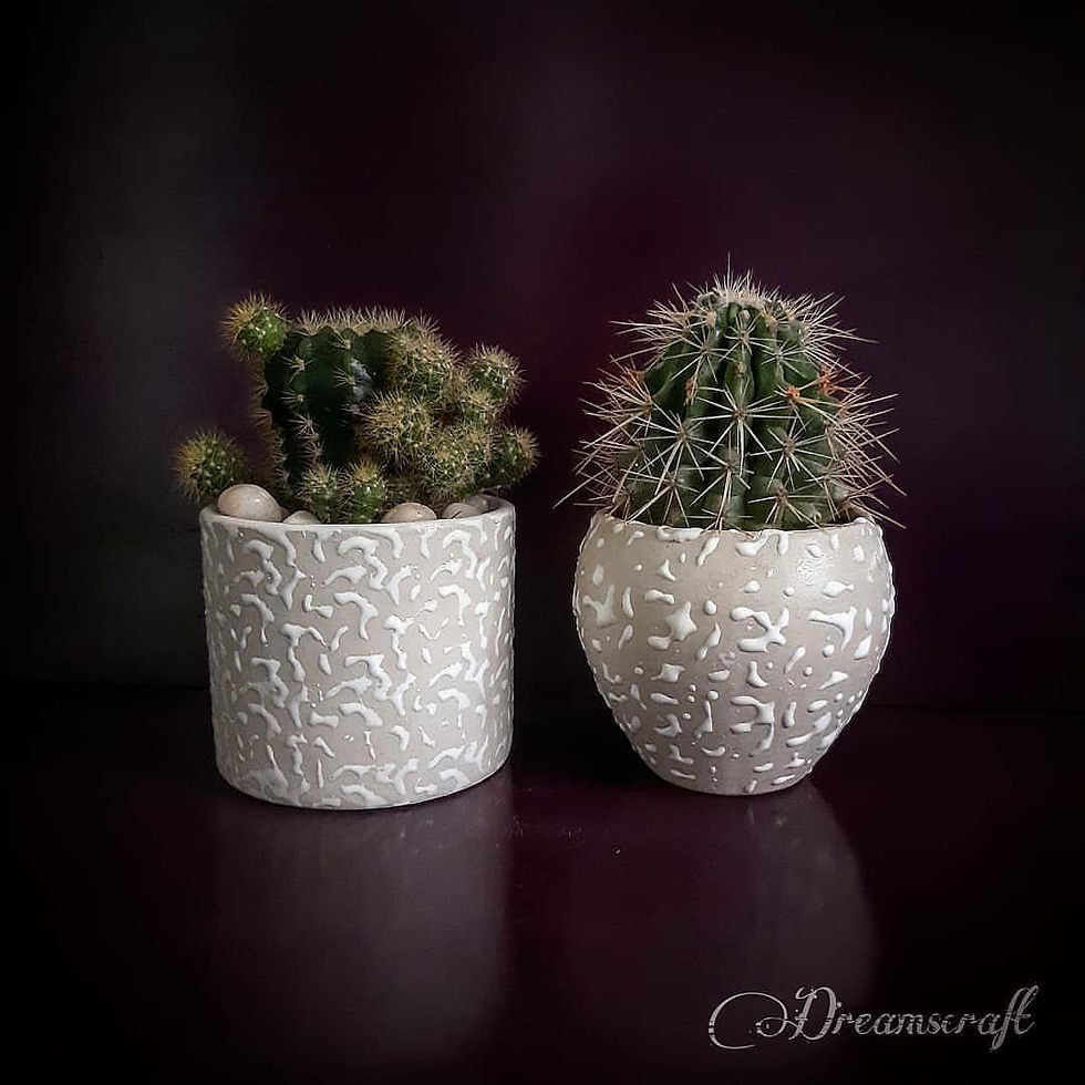 Thumbnail: Winter Frost Planter