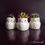 Thumbnail: Owl Planter