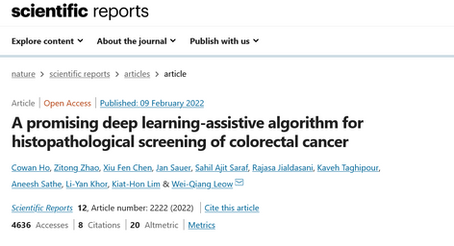 A promising deep learning-assistive algorithm for histopathological screening of colorectal cancer