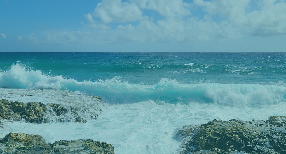 image-header-beach.png