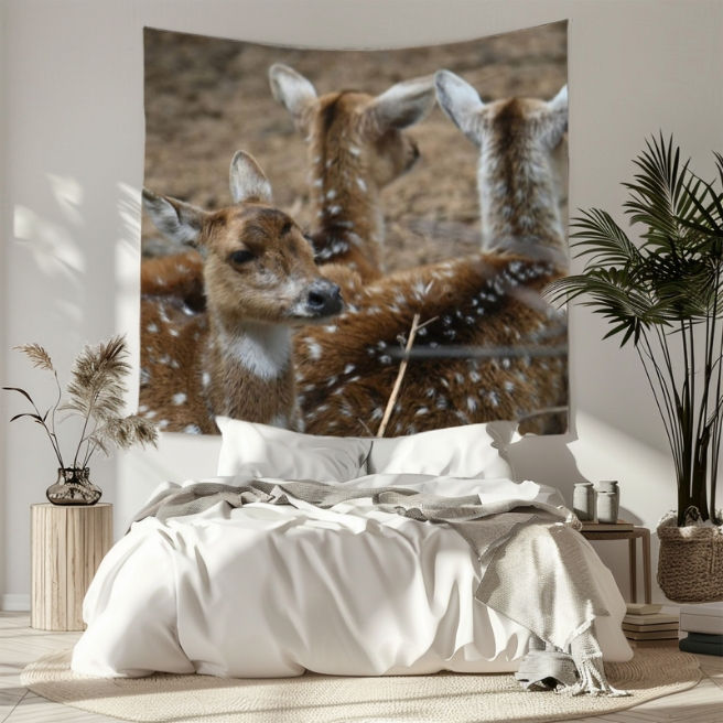 Thumbnail: The Stylish Wall Tapestry for Animal Lovers: Axis Deers Photography Art
