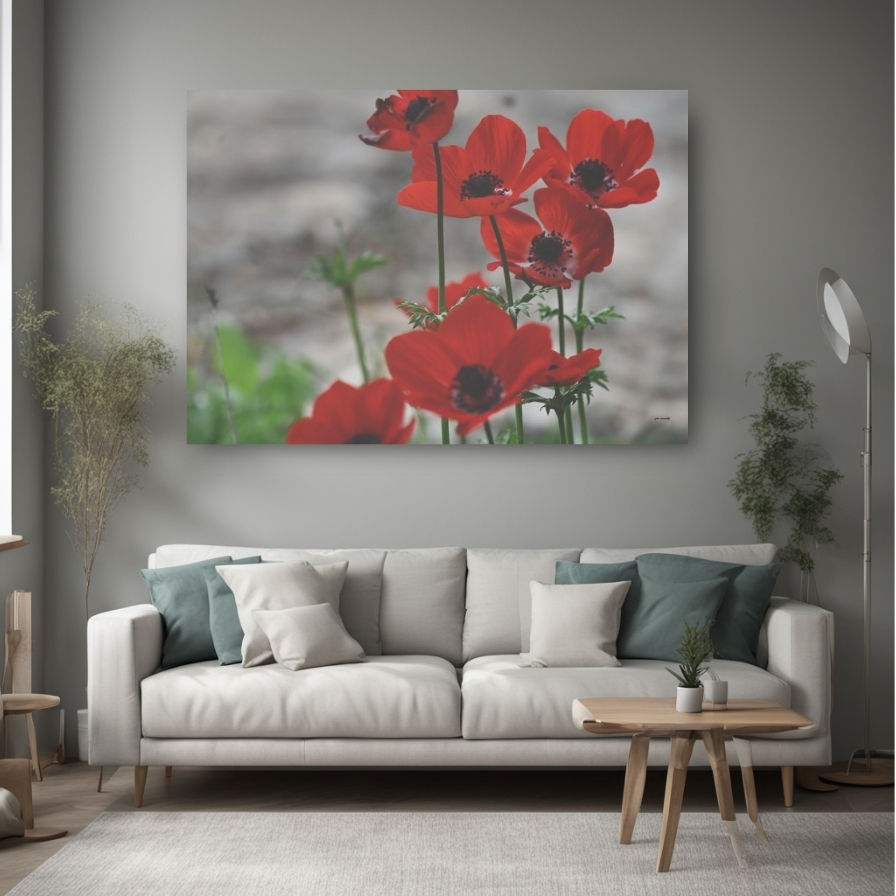 Thumbnail: Unique Canvas: Home Decor for Nature Lovers - Red Anemone Flowers Photo
