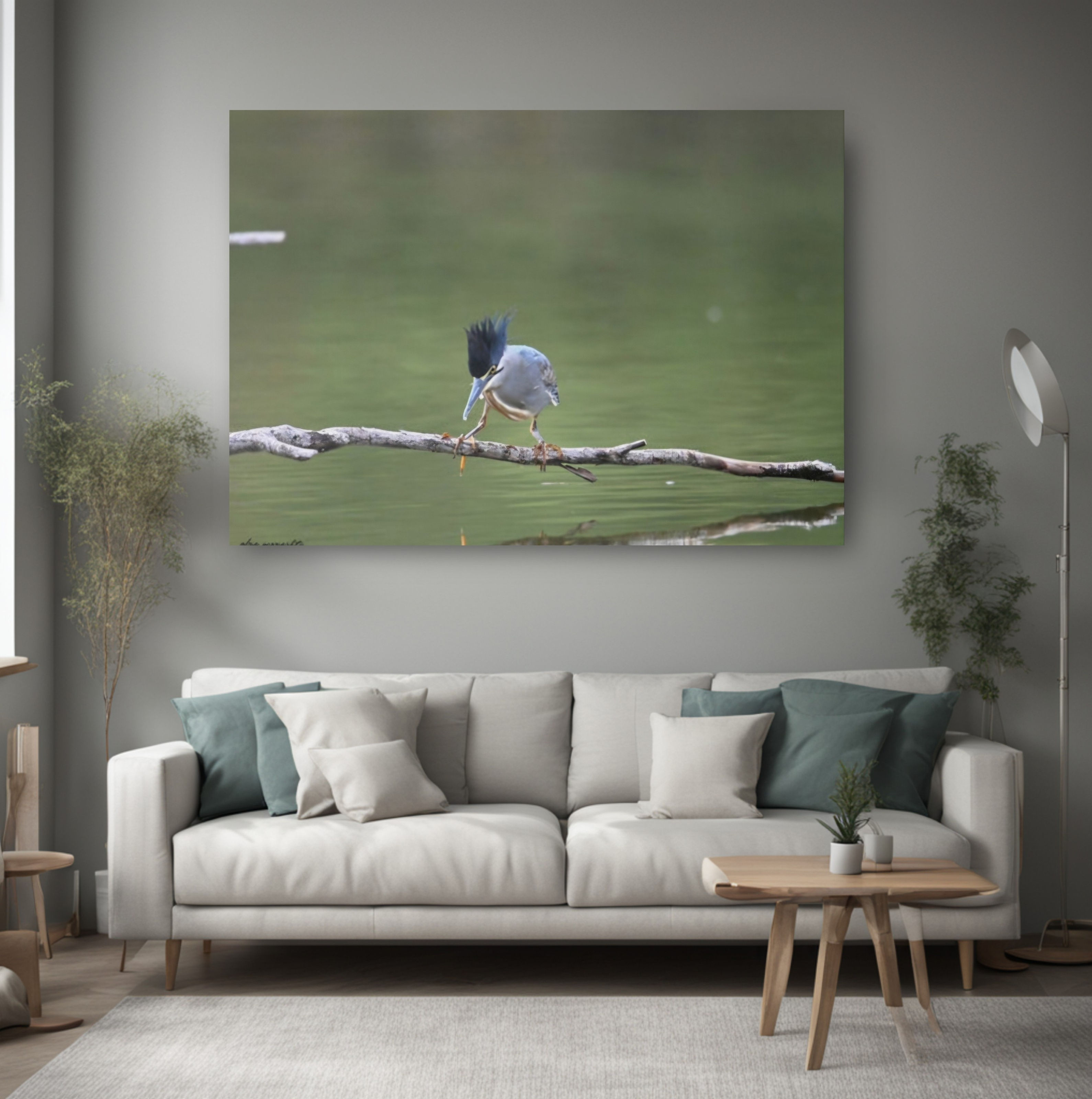 Canvas print Winged Wonders Exploring the Enigmatic Striated Heron Bird Wall Art