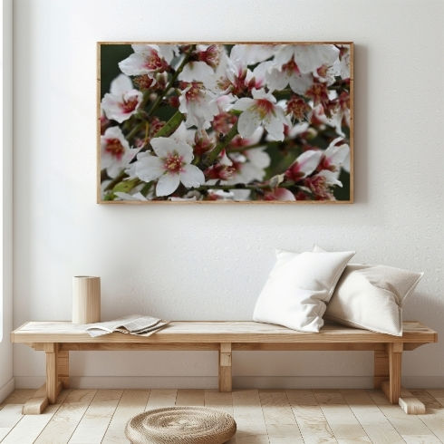 Thumbnail: The Captivating Beauty of Almond Flowers: Wall Art Poster for Nature Lovers