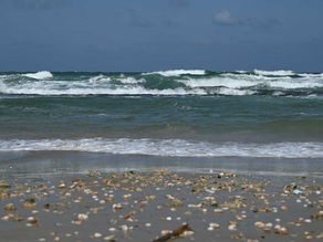 Exploring Nahal Alexander and Beyond: A Day of Natural Beauty and Adventure