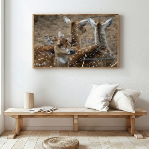Thumbnail: The Majestic Beauty of Axis Deers: A Stylish Poster for Animal Lovers
