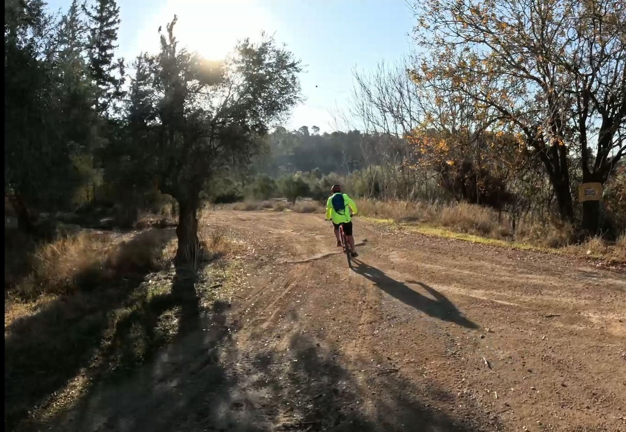 bicycle rider in nature