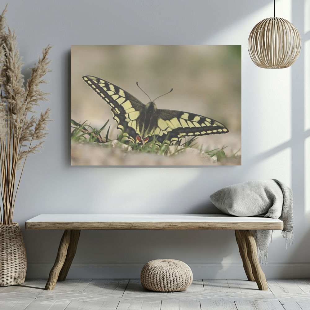 The Perfect Wall Art: Yellow Butterfly Photo Canvas for home décor