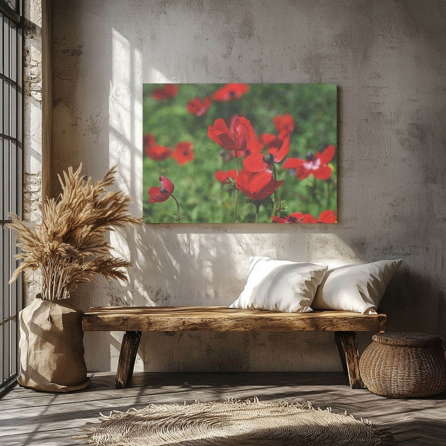 Thumbnail: Stylish Red Anemone Flowers Photo Canvas: A Stylish Choice for Nature Lovers